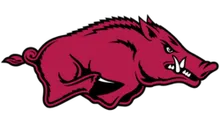University of Arkansas logo