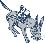 Colorado School of Mines logo