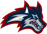 Stony Brook University logo