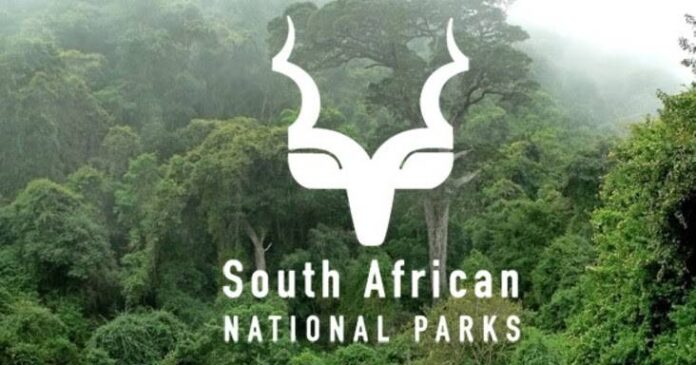 South African National Parks (SANParks) Internship Programme Opportunities 2024