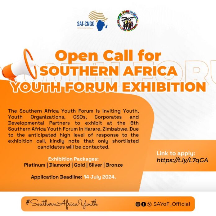 6th Southern Africa Youth Forum - Call For Exhibition 2024