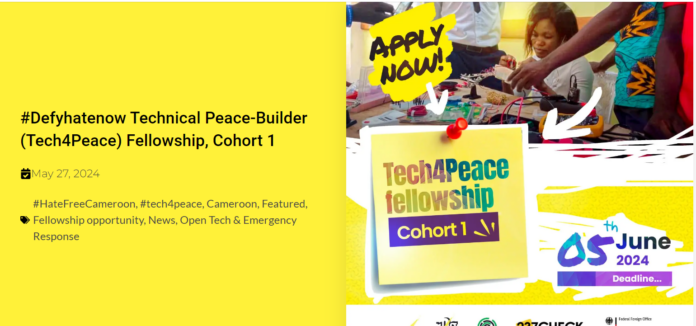 #Defyhatenow Technical Peace-Builder (Tech4Peace) Fellowship 2024 for Cameroonians
